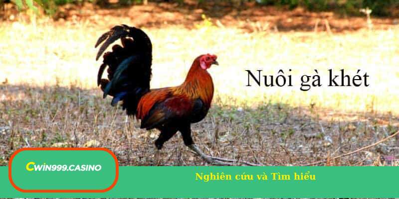 Nghiên cứu và Tìm hiểu